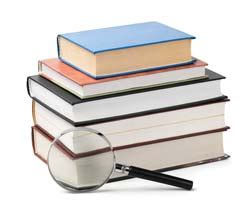 Open government data literature review